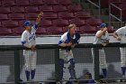 Baseball vs Salisbury  Wheaton College Baseball takes on Salisbury University in game two of the NCAA D3 College World Series at Veterans Memorial Stadium in Cedar Rapids, Iowa. - Photo By: KEITH NORDSTROM : Wheaton Basball, NCAA, Baseball, World Series